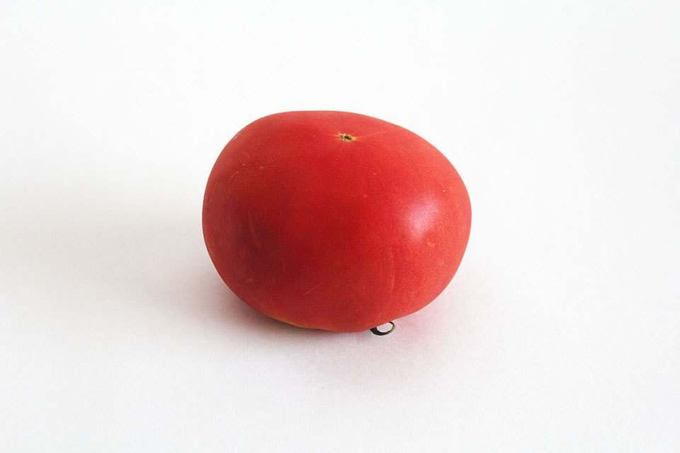トマト写真