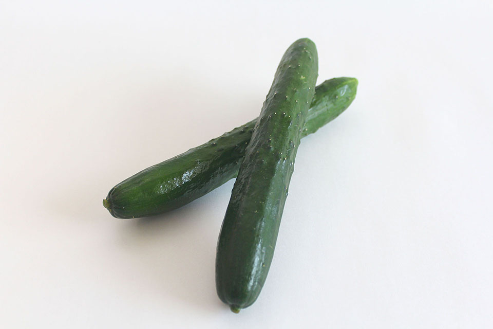 キュウリ写真