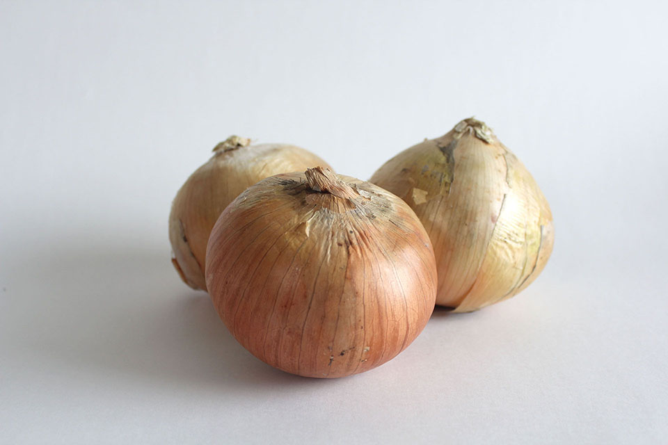 玉ねぎ写真