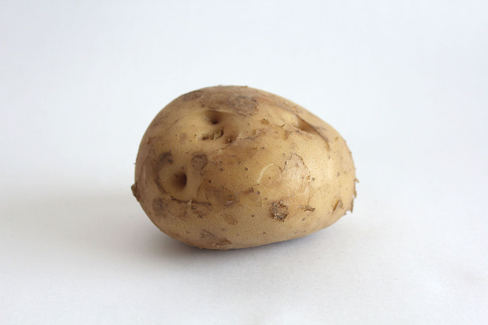 じゃがいも写真