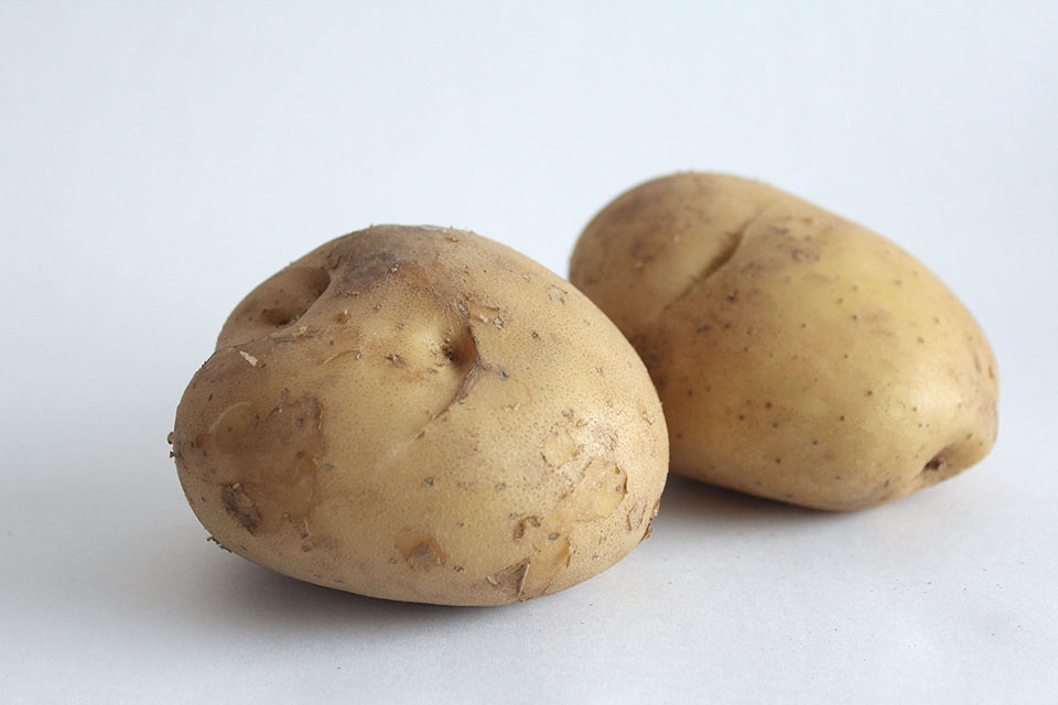 じゃがいも写真