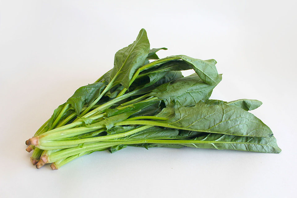 ホウレンソウ写真