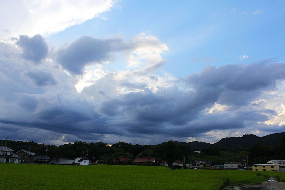 田んぼと青空写真