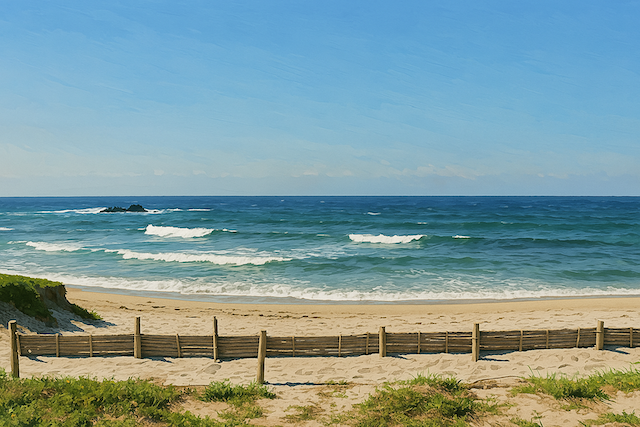 サーフィンの海イラスト