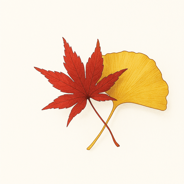 モミジとイチョウイラスト