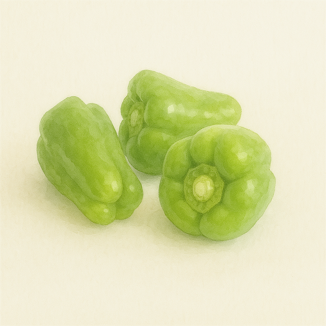 ピーマンイラスト