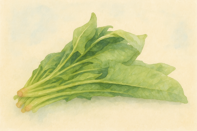 ホウレンソウイラスト