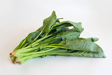 ホウレンソウ